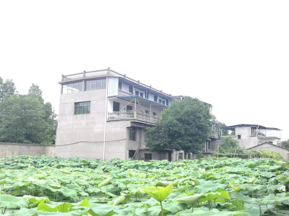 流转来的地能不能入股、能不能贷款？先把这两件事搞清楚
