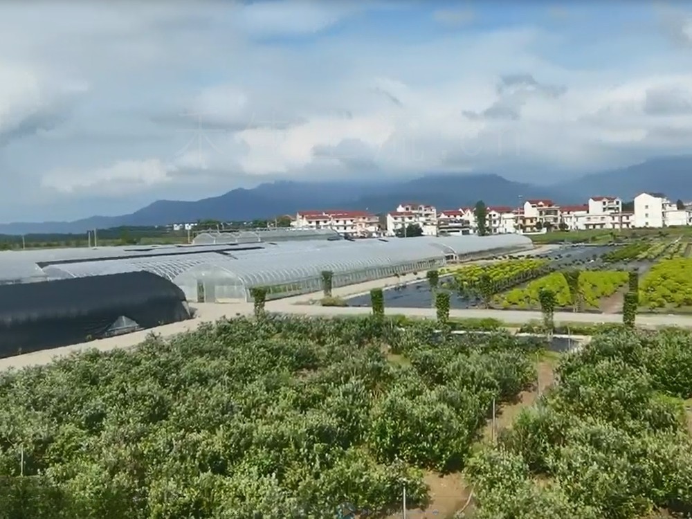 土地流转租金怎么定？一年一付还是几年一涨，怎么谈不吃亏